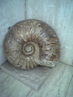 ad3469ed.jpg