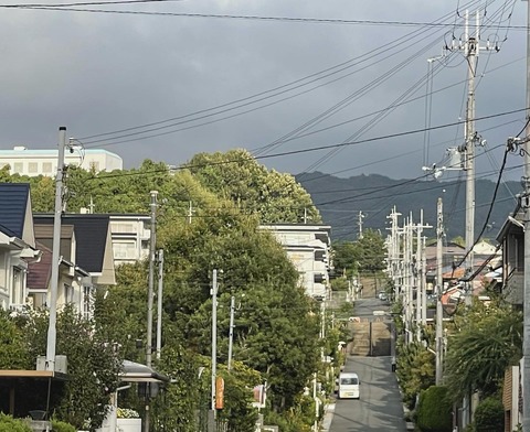 822C192F-EC27-4034-87CF-9DE298B8BA26