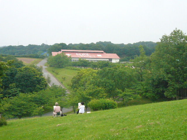 イメージ 1