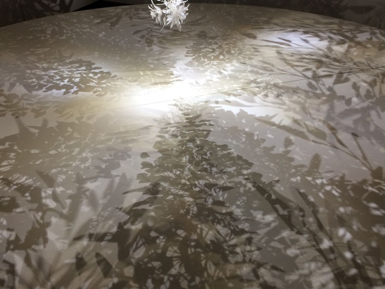 イメージ 15