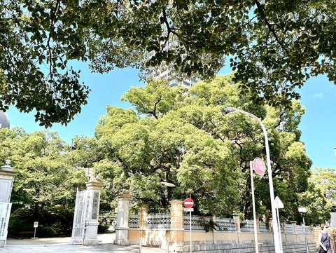 E49BF302-A563-4137-9D0F-35A45DC2E1E3