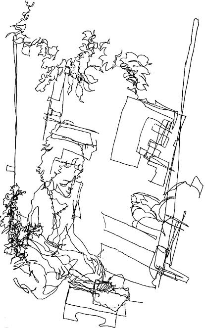 イメージ 18