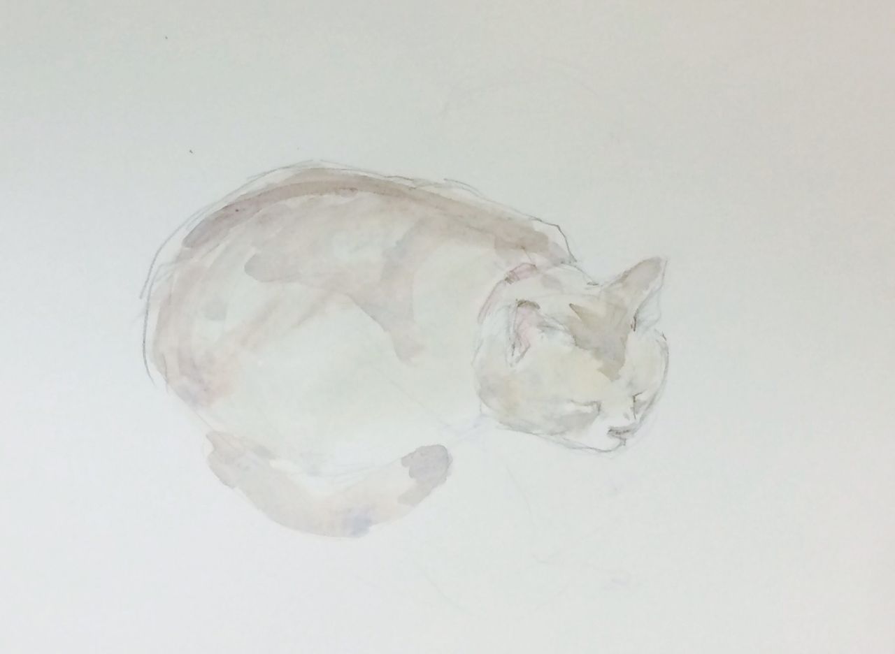 イメージ 5
