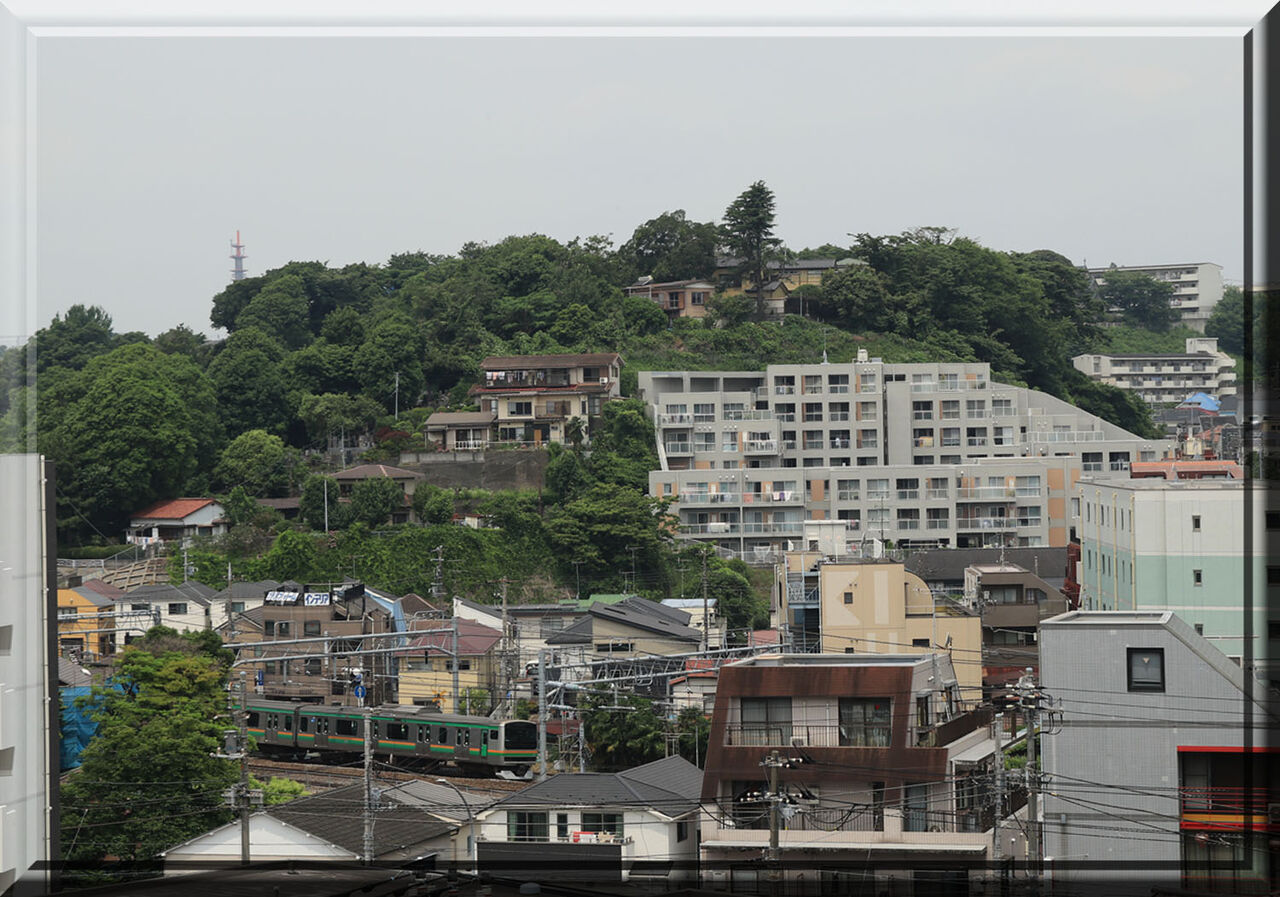 保土ヶ谷区岩井町さんぽ 鴨池港すぐ
