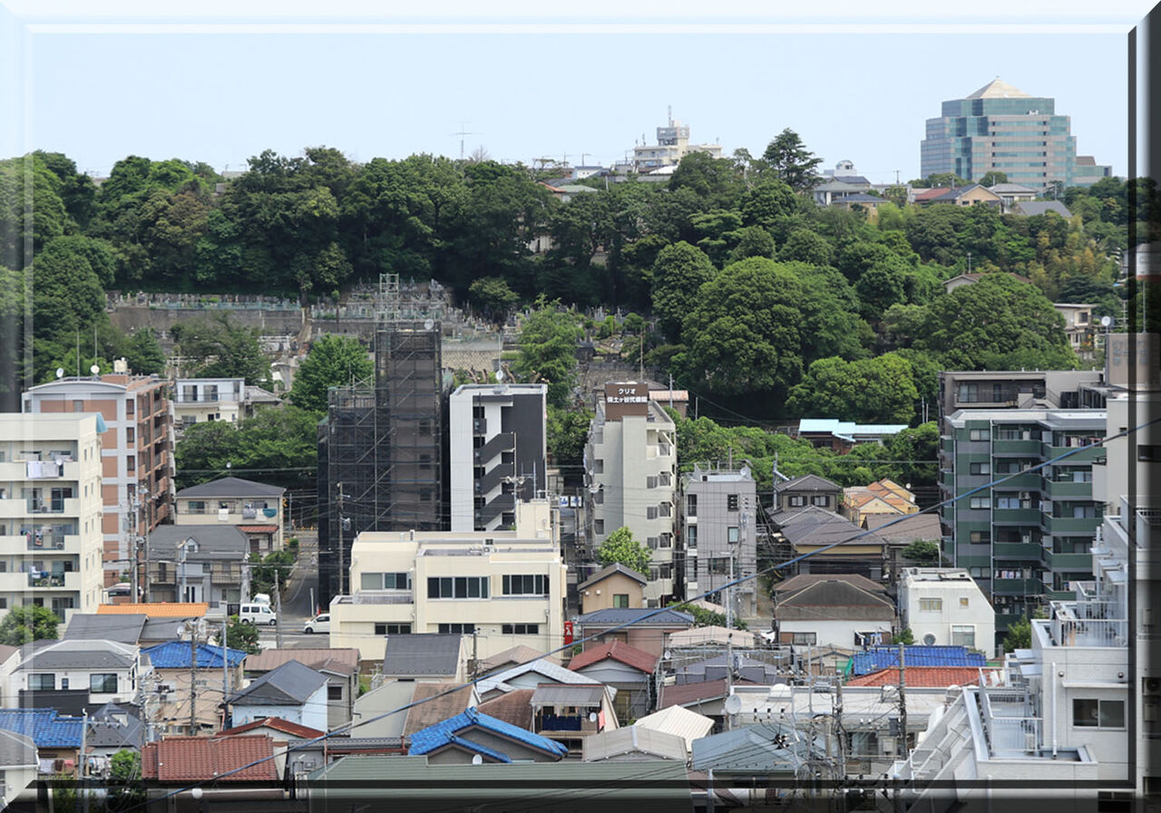 保土ヶ谷区瀬戸ヶ谷町さんぽ 鴨池港すぐ