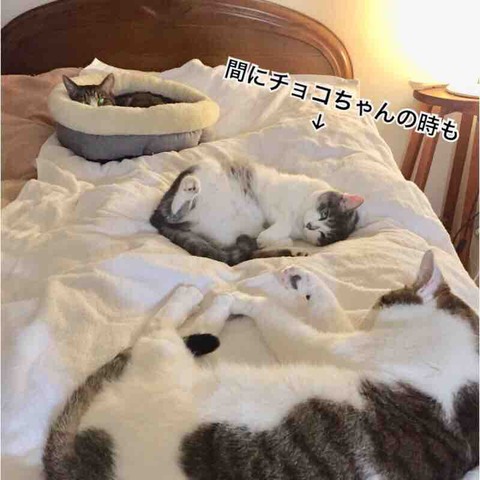 FullSizeRender