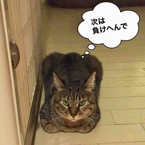 FullSizeRender