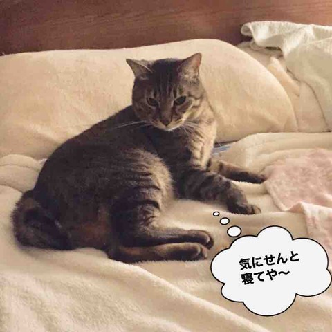FullSizeRender