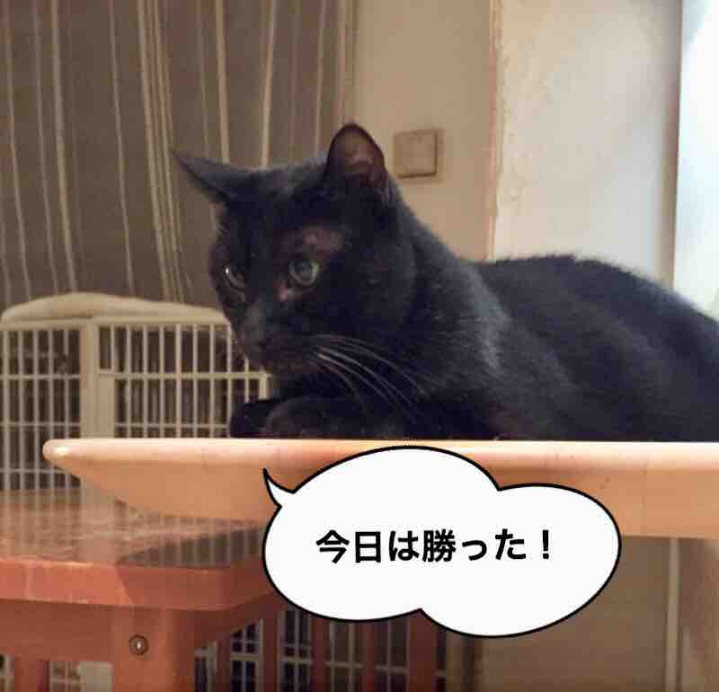 微妙な三つ巴 : 清春の幸せ探し