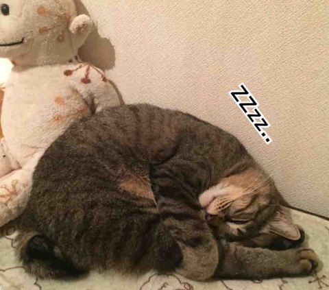 FullSizeRender