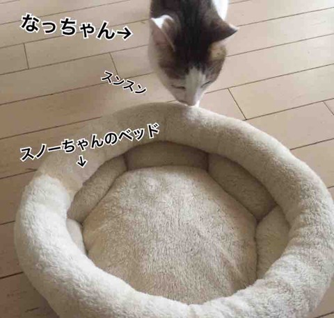 FullSizeRender