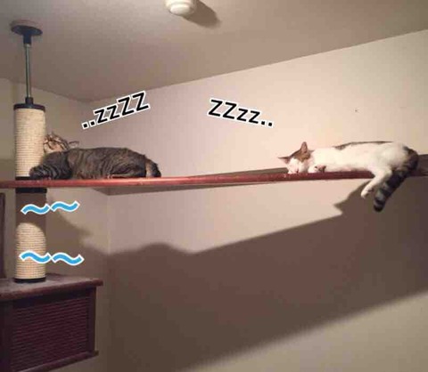 FullSizeRender