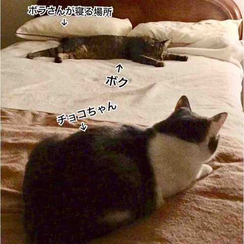 FullSizeRender