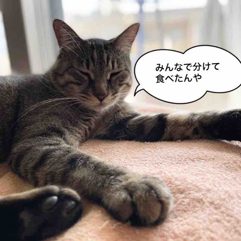 ヒーロー誕生 清春の幸せ探し ヒーロー誕生 清春の幸せ探し