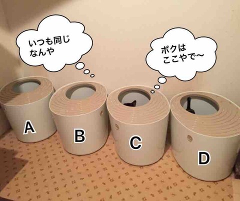 FullSizeRender