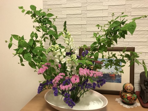 アオダモの花 Etc きよひめの気ままにロザリアン