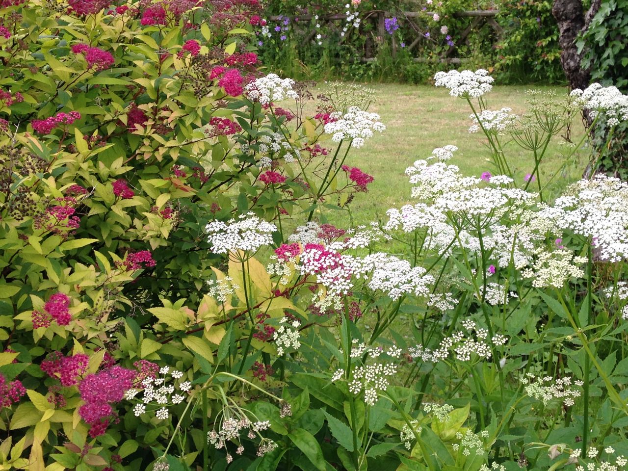 イギリス コッツウォルズ を訪ねて Bibury 15 6 きよひめの気ままにロザリアン