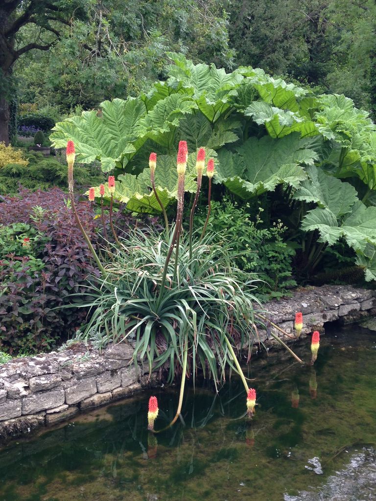 イギリス コッツウォルズ を訪ねて Bibury 15 6 きよひめの気ままにロザリアン