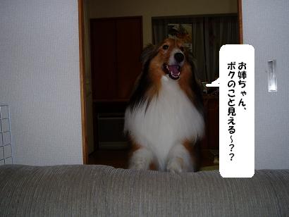 ¸«£µ