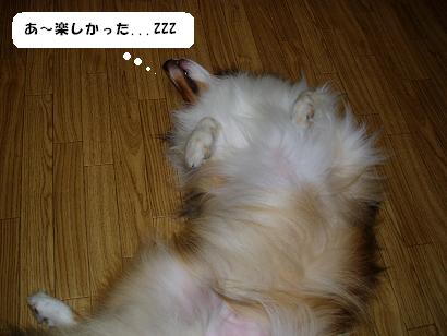 µ×¡¹£µ