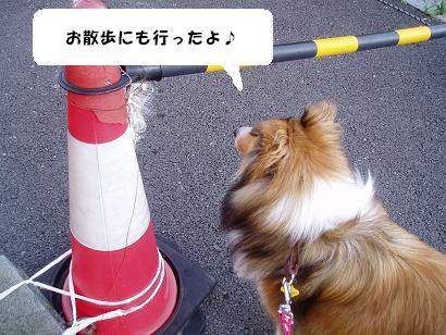 µ×¡¹£´