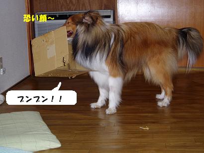 ¥À¥ó¥Ü¡¼¥ë£¶