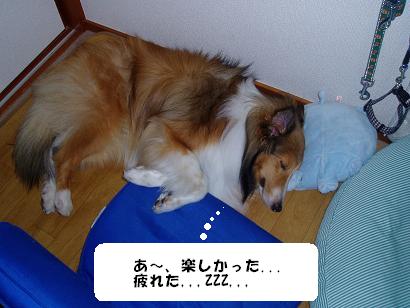 ¥À¥ó¥Ü¡¼¥ë£·