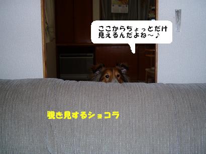 ¸«£²