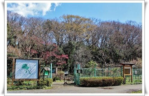 神代植物園植物多様性センター 調布市野草園 きよかぜ便り