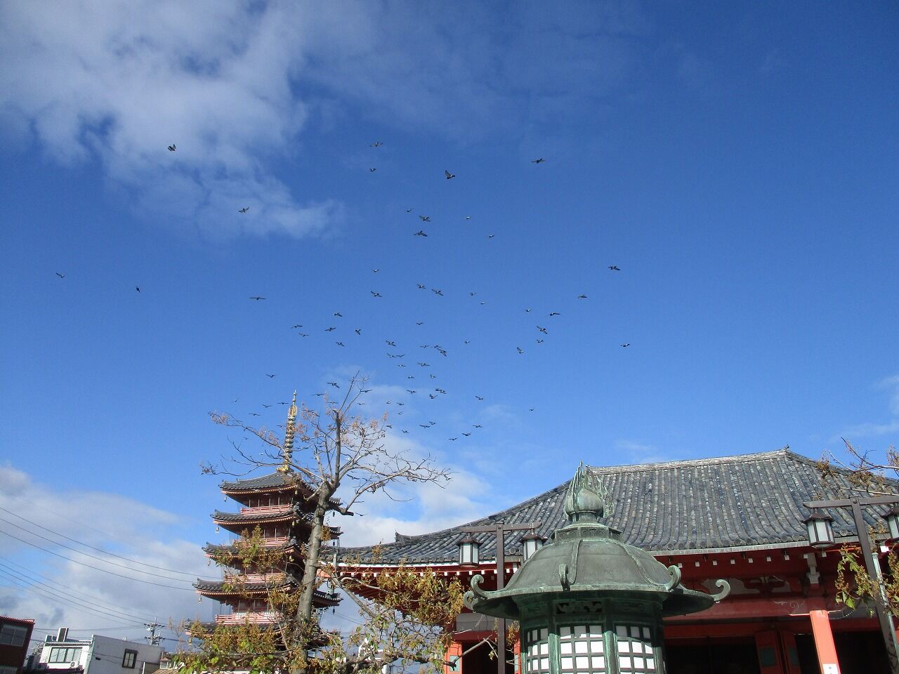 18年12月 続 伊勢カブの林道放浪記 18年12月 続 伊勢カブの林道放浪記