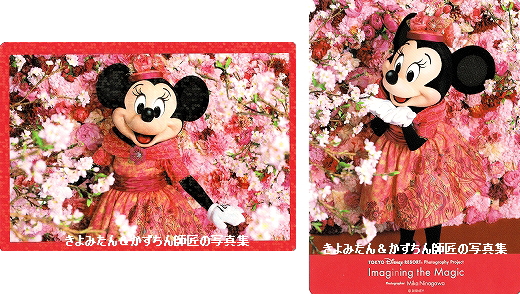 Imagining The Magic 魔法の瞬間 コレクションカード きよみたん かずちん師匠の写真集 ブログ Imagining The Magic 魔法の瞬間 コレクションカード きよみたん かずちん師匠の写真集 ブログ