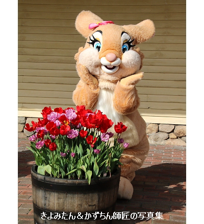 Tdl Tds グリーティング写真集 22年3月 きよみたん かずちん師匠の写真集 ブログ Tdl Tds グリーティング写真集 22年3月 きよみたん かずちん師匠の写真集 ブログ