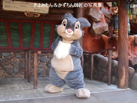 Tdl Tds グリーティング写真集 22年3月 きよみたん かずちん師匠の写真集 ブログ Tdl Tds グリーティング写真集 22年3月 きよみたん かずちん師匠の写真集 ブログ