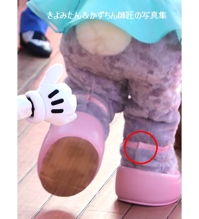 ステップ トゥ シャインを観客席の外で観てみたら その2 きよみたん かずちん師匠の写真集 ブログ