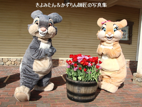 Tdl Tds グリーティング写真集 22年3月 きよみたん かずちん師匠の写真集 ブログ Tdl Tds グリーティング写真集 22年3月 きよみたん かずちん師匠の写真集 ブログ