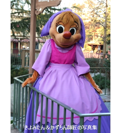 Tdl スージー パーラのグリーティング きよみたん かずちん師匠の写真集 ブログ