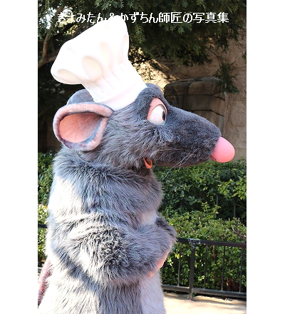 レミーは、かわいいなぁ！ : きよみたん＆かずちん師匠の写真集