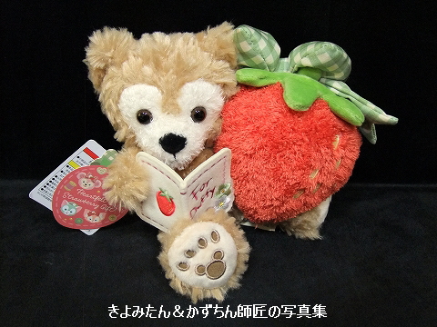 ハートフェルト・ストロベリーギフト ダッフィーのぬいぐるみ