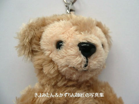 懐かしのグッズ (TDRのグッズ・ディズニーベア(ダッフィー)編 Vol.2