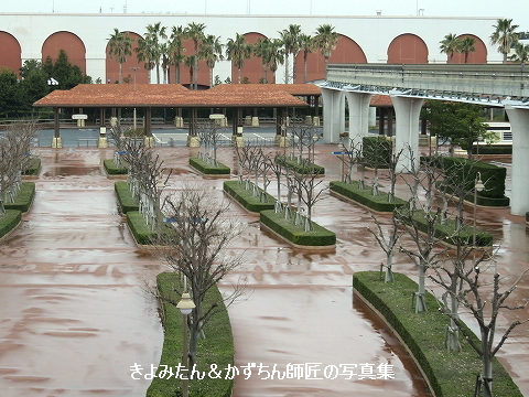 臨時休園中の東京ディズニーリゾートの様子をレポート Vol 2 きよみたん かずちん師匠の写真集 ブログ