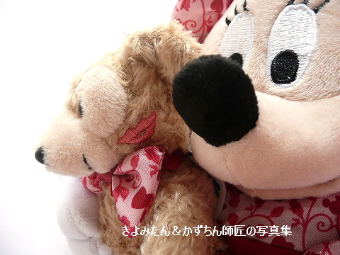 17年02月 きよみたん かずちん師匠の写真集 ブログ