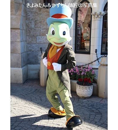 TDL グリーティング写真集（2022年2月 ） : きよみたん＆かず