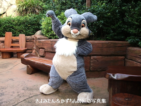 とんすけとミス バニーが 隠れミッキーの場所を教えてくれたよ きよみたん かずちん師匠の写真集 ブログ とんすけとミス バニーが 隠れミッキーの場所を教えてくれたよ きよみたん かずちん師匠の写真集 ブログ