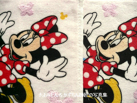 また アンケートに答えてオリジナル記念品を貰いました きよみたん かずちん師匠の写真集 ブログ