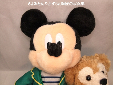 再販されたダッフィーのワンダフル・ヴォヤッジのぬいぐるみを購入しま