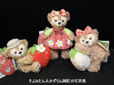 ハートフェルト・ストロベリーギフト ぬいぐるみバッジとぬいぐるみ