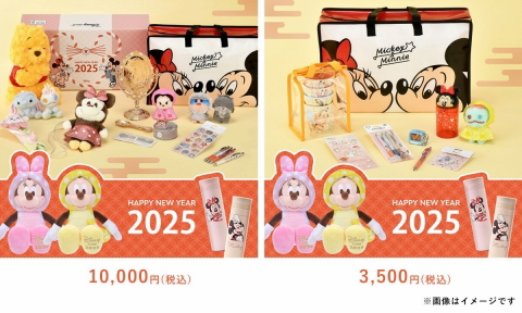 ディズニーストア 2025年のラッキーバッグを購入しました