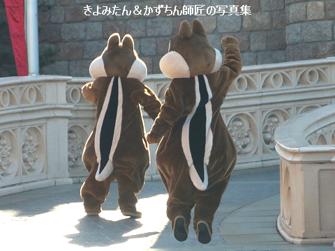 東京ディズニーランドでリスを探せ きよみたん かずちん師匠の写真集 ブログ 東京ディズニーランドでリスを探せ きよみたん かずちん師匠の写真集 ブログ