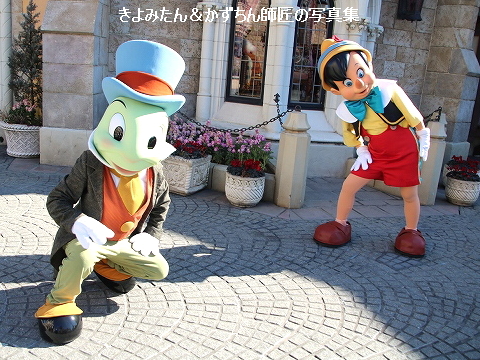 Tdl グリーティング写真集 22年2月 きよみたん かずちん師匠の写真集 ブログ