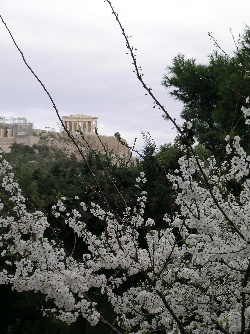 parthenon2